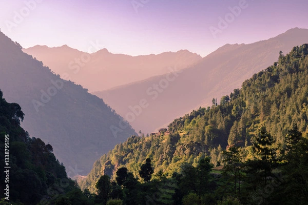Obraz Sunrise in the mountains. Forest tree Rainforest ecosystem and healthy environment concept background Texture of green tree forest view Beautiful sunrise over the hills of North Himalaya.