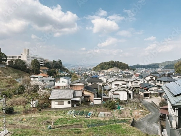 Obraz 日本の住宅地の風景