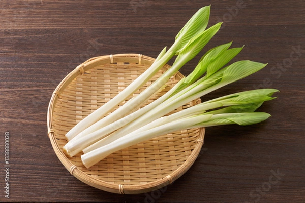 Fototapeta 山菜　うるい　イメージ