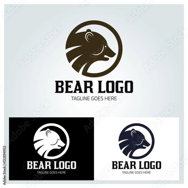 Fototapeta Bear logo design template ,Vector illustration