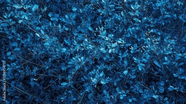 Fototapeta an abstract representation of nature in blue.