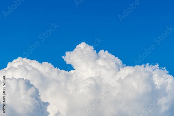 Fototapeta 青空に浮かぶ白い入道雲