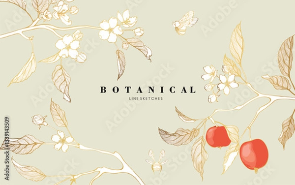 Obraz Golden line apple branch. Blooming branch of sakura apple tree.