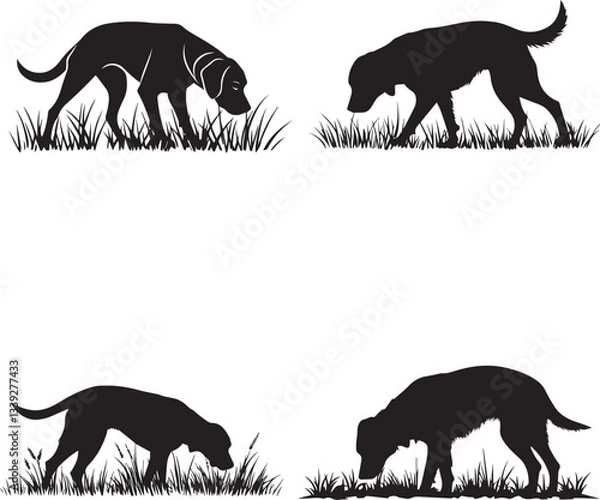 Fototapeta Hunting Dog Sniffing the ground silhouette vector