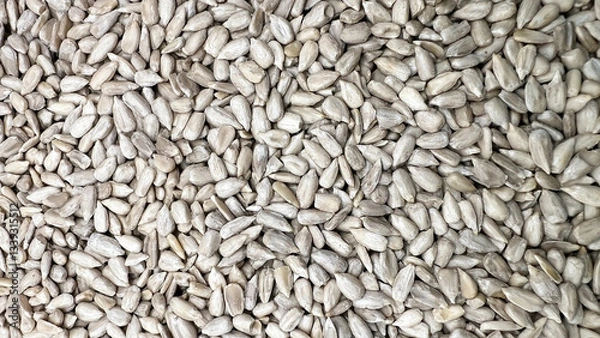 Fototapeta Peeled sunflower seeds are scattered in large quantities and randomly.