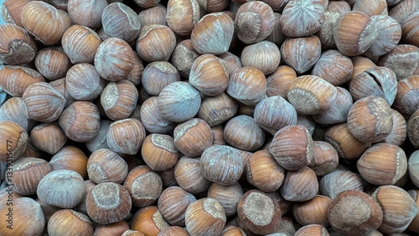 Fototapeta Hazelnuts in shells lie in a random order.