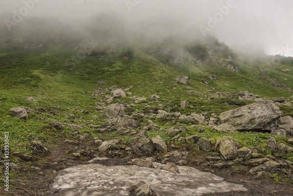 Obraz mountainside with bushes covered with clouds