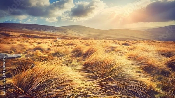 Obraz Golden grasses sway under a bright sun and moody sky. Vast landscape.
