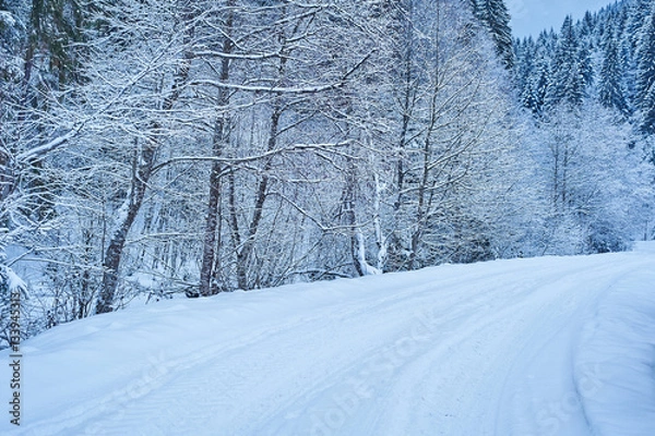 Obraz Winter road after the snowfall