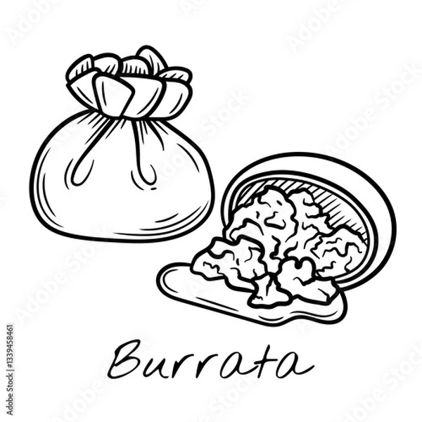 Fototapeta Hand-drawn black and white vector illustration of burrata cheese with a soft, creamy center. Vintage engraving-style, perfect for food packaging, restaurant menus, and dairy product branding