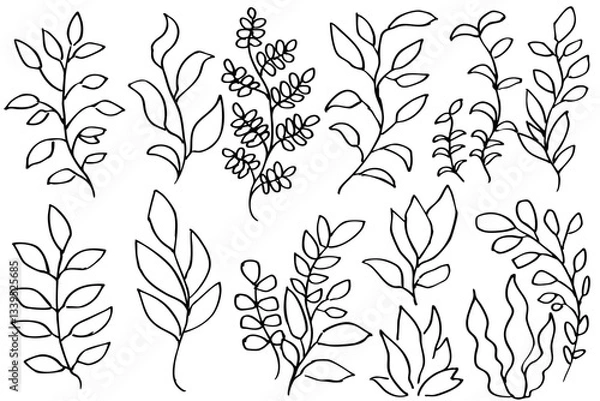 Fototapeta 手書きの木の葉や草のボタニカル線画のイラスト　ベクター