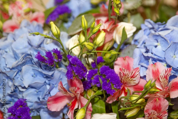 Fototapeta Multicolor flowers