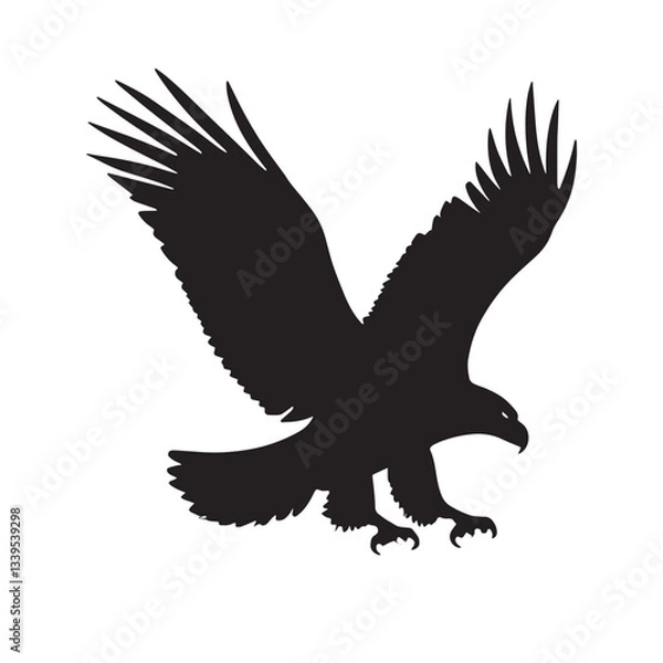 Fototapeta Big Eagle Open his wings