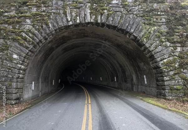 Obraz tunnel in the forest