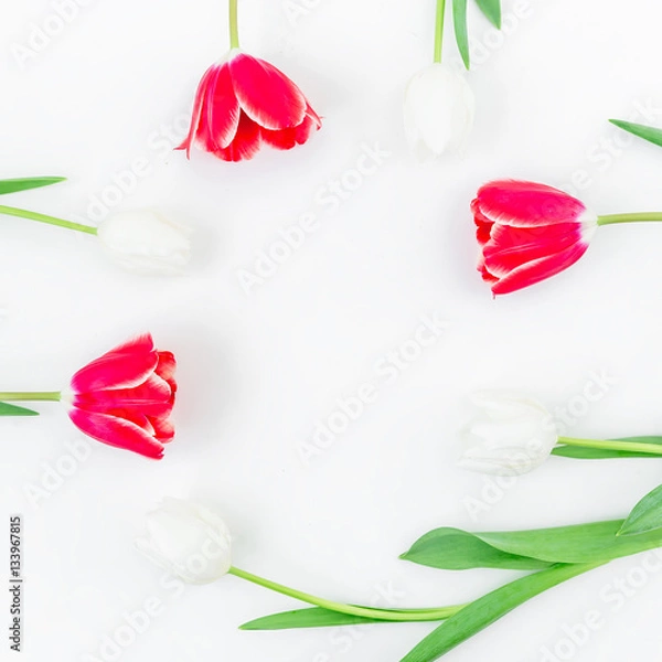 Fototapeta Frame with tulip flowers and paper card on white background. Flat lay, Top view.
