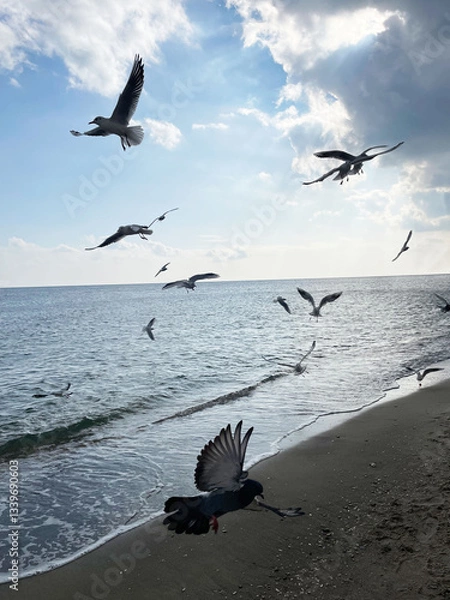 Fototapeta Seascape. Seagulls fly over the dark sea and sandy beige shore against the blue cloudy sky, side view. Sunlight slightly breaks through from behind a large dark cloud, slightly illuminating the shore.