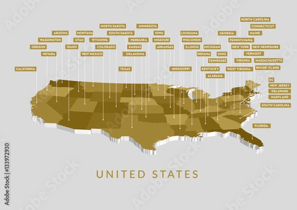 Obraz 3D USA State map