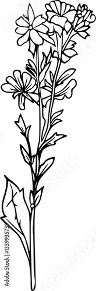 Fototapeta vector illustration of a tree branch, flower in line art