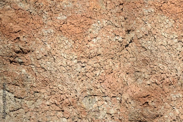 Obraz terra arida