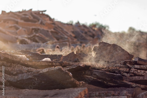 Obraz boiled cork planks stacking