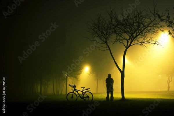 Fototapeta One man is standing and holding the bicycle in foggy and mysterious park at night
