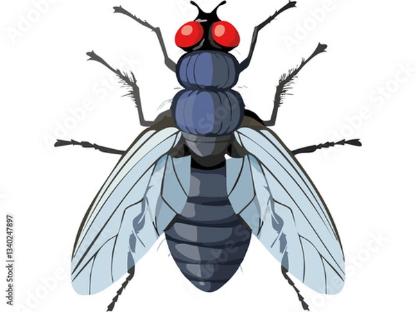 Obraz vector illustration of a black beetle