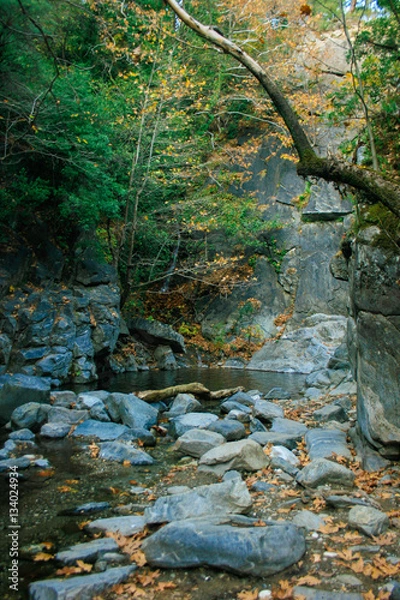 Fototapeta River and Rocks