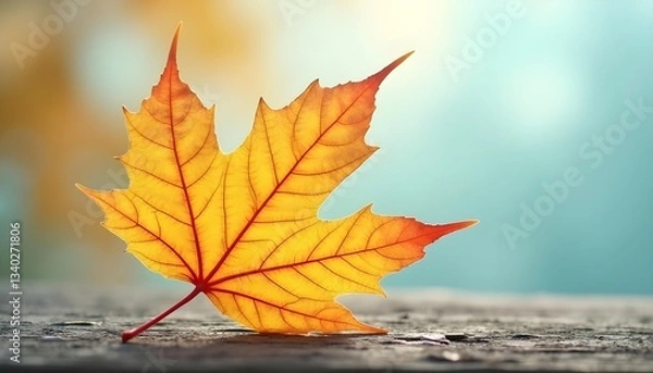 Obraz Orange maple leaf on weathered wood with blurred background
