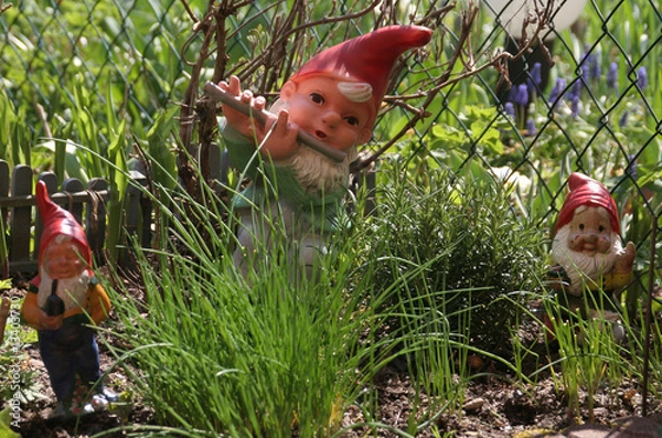 Obraz Gartenzwerge