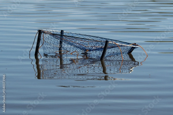 Obraz an old crab pot