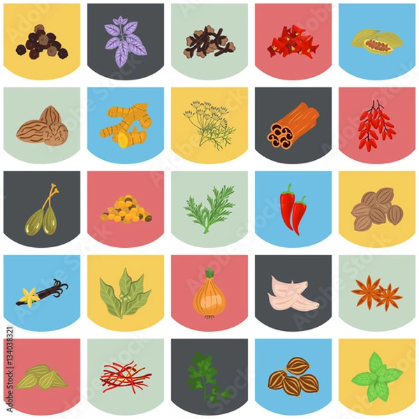 Fototapeta Set of color flat spice icons set with names