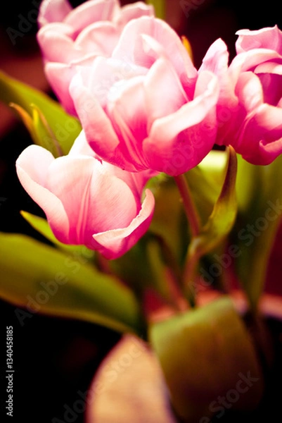 Obraz pink tulips 