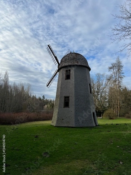 Obraz windmill in park