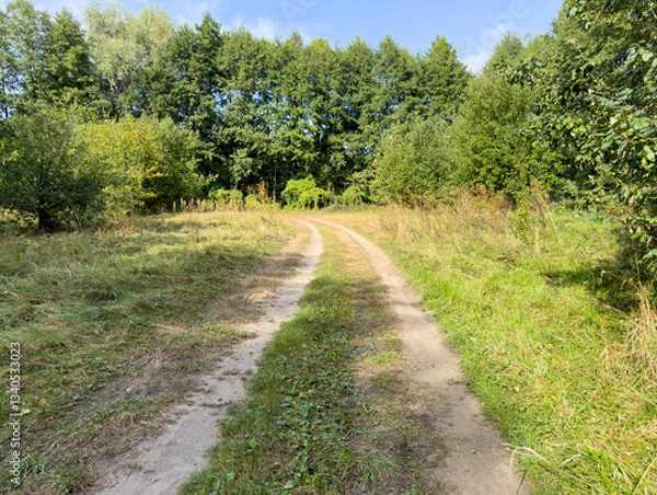 Fototapeta A dirt road in a forest with trees in the background