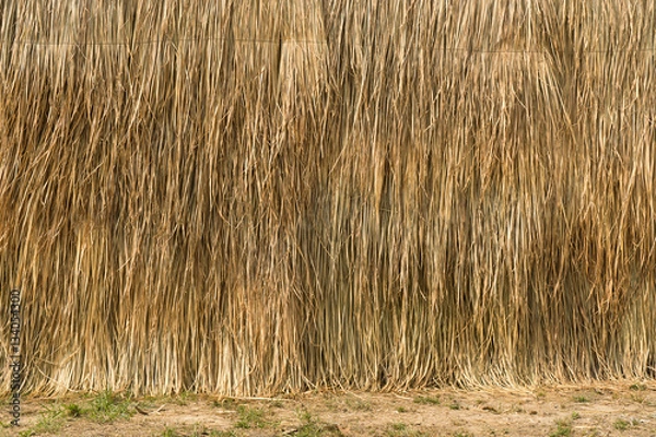 Obraz agriculture farm dried grass straw as a wall