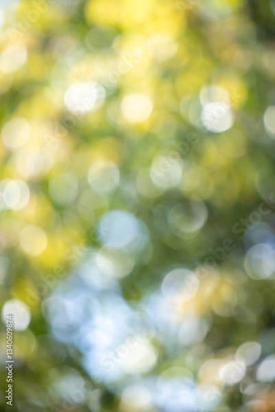 Fototapeta Green bokeh background, blurry green leaves out of focus.