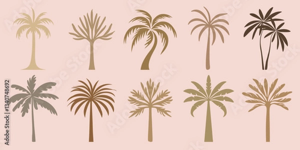 Fototapeta Silhouetted palm tree collection, isolated vector set
