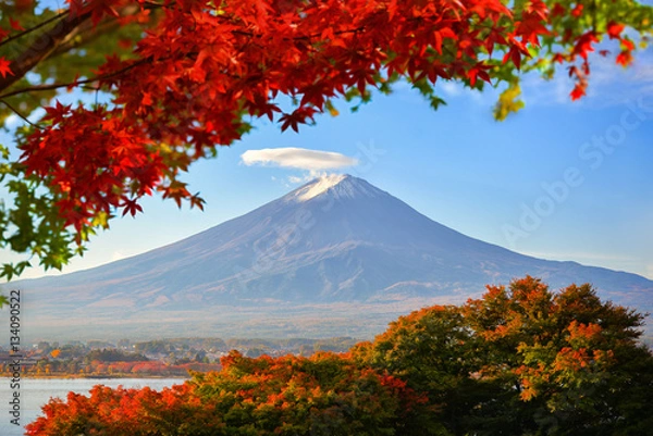 Fototapeta Mt. Fuji viewed with maple tree in fall colors in japan.