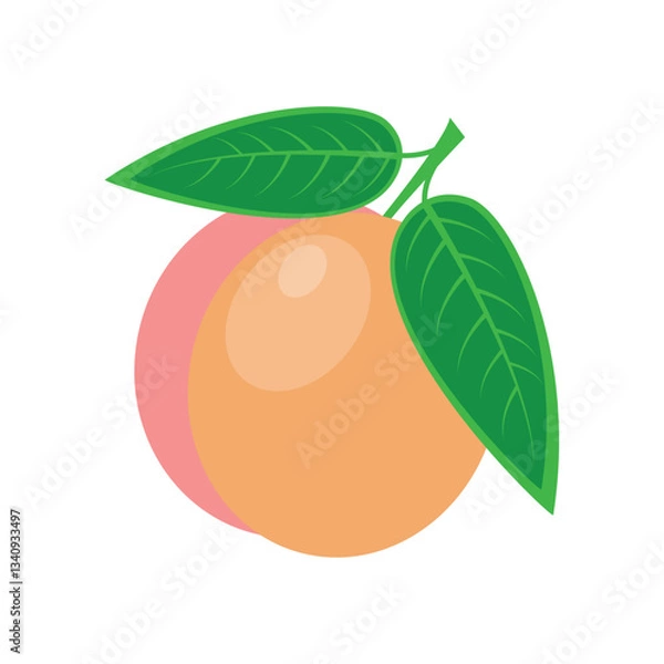 Fototapeta Peach. Ripe peach with green leaves. Fresh juicy fruit. The vector illustration is isolated on a white background