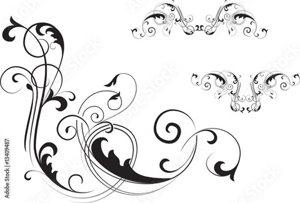 Obraz floral design elements