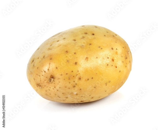 Obraz potato isolated on white background