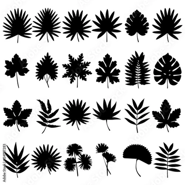 Fototapeta A collection of black silhouette tropical plant and tree icons, featuring various palm trees, ferns, and botanical elements in a minimalistic style on a white background.