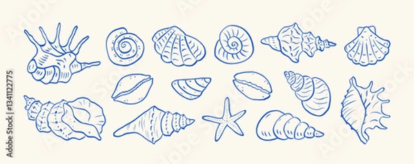 Fototapeta Set of hand drawn seashells drawing ink. Minimalist line art. Summer vacation design elements for trendy prints, label, menu cover. Tropical beach shells. Vector flat illustration.