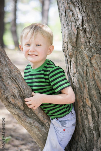 Obraz Happy young boy sitting in a tree at the park