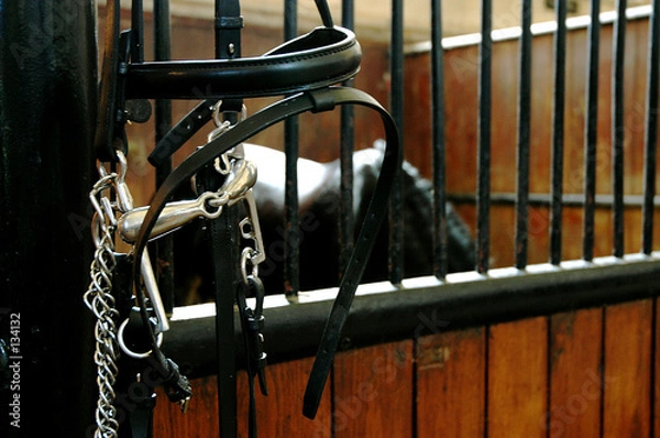 Obraz  mors pelham d'equitation