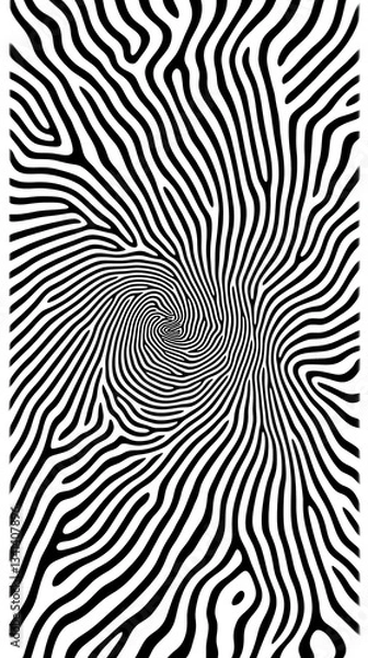 Fototapeta Black and white spiral pattern, graphic design background, optical illusion