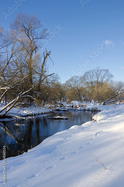 Fototapeta Winter scene