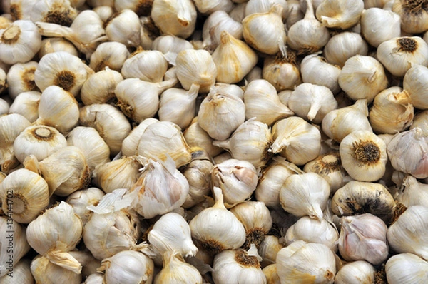 Fototapeta Organic Garlic