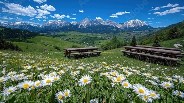 Obraz Alpine meadow picnic tables, flowers, mountains, sunny day