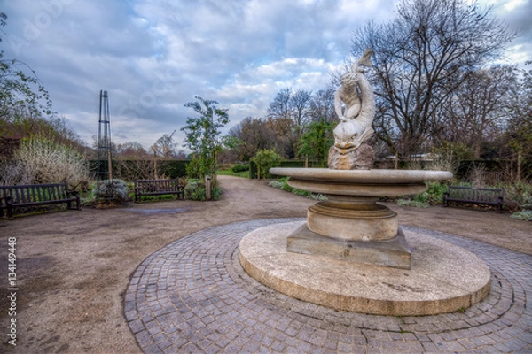 Fototapeta Rose garden in Hyde park London